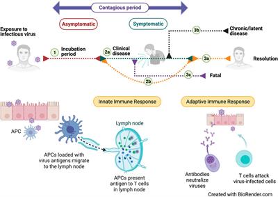 Non-Thermal Plasma as a Novel Strategy for Treating or Preventing Viral Infection and Associated Disease